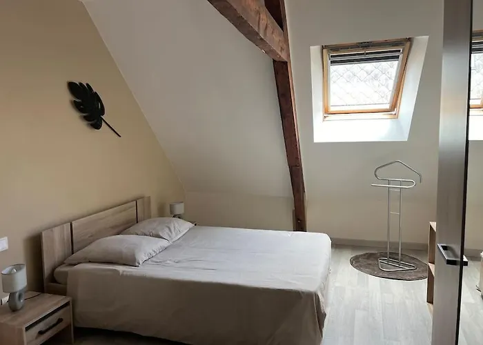 Duplex Centre-ville